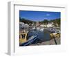 Ballyhack Fishing Village, County Wexford, Leinster, Republic of Ireland, Europe-Richard Cummins-Framed Photographic Print