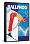 Ballyhoo-null-Framed Stretched Canvas