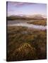 Ballynahinch Lake and the Twelve Pins, Connemara, County Galway, Connacht, Republic of Ireland-Patrick Dieudonne-Stretched Canvas