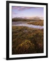 Ballynahinch Lake and the Twelve Pins, Connemara, County Galway, Connacht, Republic of Ireland-Patrick Dieudonne-Framed Photographic Print