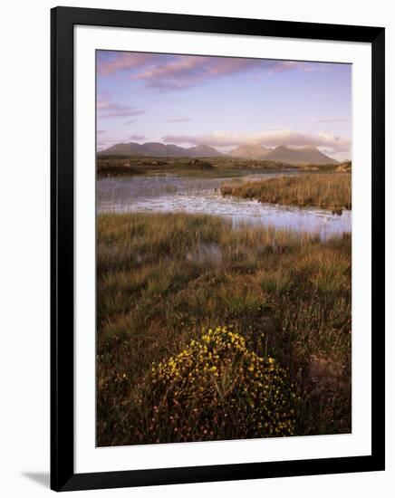 Ballynahinch Lake and the Twelve Pins, Connemara, County Galway, Connacht, Republic of Ireland-Patrick Dieudonne-Framed Photographic Print