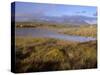 Ballynahinch Lake and the Twelve Pins, Connemara, County Galway, Connacht, Republic of Ireland-Patrick Dieudonne-Stretched Canvas