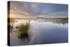 Ballynahone Bog at Dawn, County Antrim, Northern Ireland, UK, June 2011-Ben Hall-Stretched Canvas