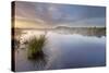 Ballynahone Bog at Dawn, County Antrim, Northern Ireland, UK, June 2011-Ben Hall-Stretched Canvas