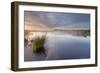 Ballynahone Bog at Dawn, County Antrim, Northern Ireland, UK, June 2011-Ben Hall-Framed Photographic Print