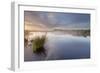 Ballynahone Bog at Dawn, County Antrim, Northern Ireland, UK, June 2011-Ben Hall-Framed Photographic Print