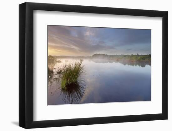 Ballynahone Bog at Dawn, County Antrim, Northern Ireland, UK, June 2011-Ben Hall-Framed Photographic Print