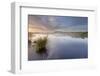 Ballynahone Bog at Dawn, County Antrim, Northern Ireland, UK, June 2011-Ben Hall-Framed Photographic Print