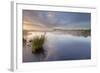 Ballynahone Bog at Dawn, County Antrim, Northern Ireland, UK, June 2011-Ben Hall-Framed Photographic Print