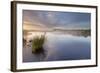 Ballynahone Bog at Dawn, County Antrim, Northern Ireland, UK, June 2011-Ben Hall-Framed Photographic Print