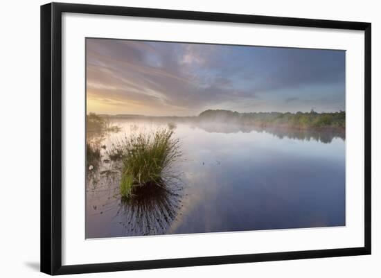 Ballynahone Bog at Dawn, County Antrim, Northern Ireland, UK, June 2011-Ben Hall-Framed Photographic Print