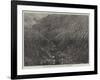 Balmadie's Cinchona Plantation Near Dolacamund, Madras Presidency-null-Framed Giclee Print