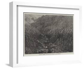 Balmadie's Cinchona Plantation Near Dolacamund, Madras Presidency-null-Framed Giclee Print