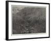 Balmadie's Cinchona Plantation Near Dolacamund, Madras Presidency-null-Framed Giclee Print