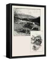 Balmoral and Balmoral Castle-null-Framed Stretched Canvas