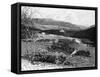 Balmoral Castle from Craig Nordie, Scotland, 1900-GW and Company Wilson-Framed Stretched Canvas