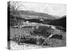 Balmoral Castle from Craig Nordie, Scotland, 1900-GW and Company Wilson-Stretched Canvas