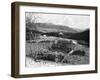 Balmoral Castle from Craig Nordie, Scotland, 1900-GW and Company Wilson-Framed Giclee Print