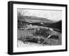 Balmoral Castle from Craig Nordie, Scotland, 1900-GW and Company Wilson-Framed Giclee Print