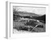 Balmoral Castle from Craig Nordie, Scotland, 1900-GW and Company Wilson-Framed Giclee Print