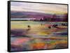 Balmy Summers Evening-Kate Boyce-Framed Stretched Canvas