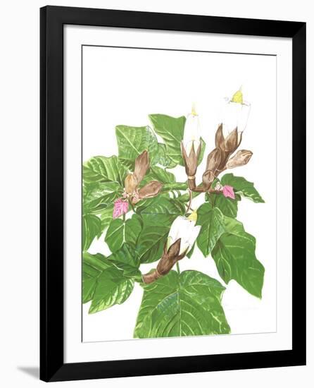 Balsa Tree-Marion Sheehan-Framed Limited Edition