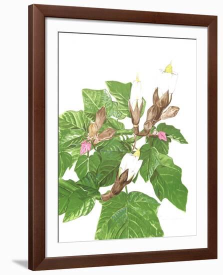 Balsa Tree-Marion Sheehan-Framed Limited Edition