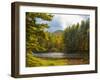 Balsam Lake in the Nantahala National Forest, Jackson County, North Carolina, United States of A...-Panoramic Images-Framed Photographic Print