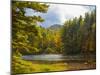 Balsam Lake in the Nantahala National Forest, Jackson County, North Carolina, United States of A...-Panoramic Images-Mounted Photographic Print