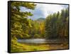 Balsam Lake in the Nantahala National Forest, Jackson County, North Carolina, United States of A...-Panoramic Images-Framed Stretched Canvas