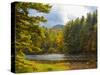 Balsam Lake in the Nantahala National Forest, Jackson County, North Carolina, United States of A...-Panoramic Images-Stretched Canvas