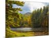 Balsam Lake in the Nantahala National Forest, Jackson County, North Carolina, United States of A...-Panoramic Images-Mounted Photographic Print