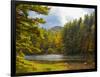 Balsam Lake in the Nantahala National Forest, Jackson County, North Carolina, United States of A...-Panoramic Images-Framed Photographic Print