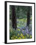 Balsam Root and Lupines Among Pacific Ponderosa Pine, Rowena, Oregon, USA-Jamie & Judy Wild-Framed Photographic Print