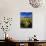 Balsamroot Along the Rocky Mountain Front, Waterton Lakes National Park, Alberta, Canada-Chuck Haney-Mounted Photographic Print displayed on a wall