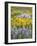 Balsamroot and Lupine 6-Don Paulson-Framed Giclee Print