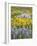 Balsamroot and Lupine 6-Don Paulson-Framed Giclee Print