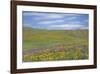 Balsamroot and Lupine-Don Paulson-Framed Giclee Print