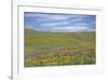 Balsamroot and Lupine-Don Paulson-Framed Giclee Print