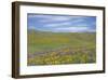 Balsamroot and Lupine-Don Paulson-Framed Giclee Print