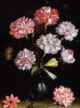 Floral Study: Carnations in a Vase-Balthasar van der Ast-Framed Giclee Print