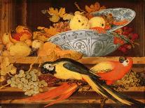 Still Life with Fruit, Flowers and Seafood-Balthasar van der Ast-Giclee Print