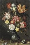Still Life of a Vase of Flowers with Shells-Balthasar van der Ast-Giclee Print