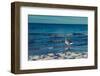 Baltic beach on Rügen-Mandy Stegen-Framed Photographic Print