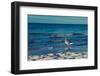 Baltic beach on Rügen-Mandy Stegen-Framed Photographic Print