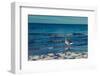 Baltic beach on Rügen-Mandy Stegen-Framed Photographic Print