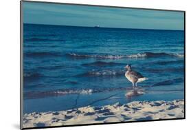 Baltic beach on Rügen-Mandy Stegen-Mounted Photographic Print