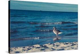 Baltic beach on Rügen-Mandy Stegen-Stretched Canvas