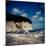 Baltic coast Jasmund National Park with chalk rock-Mandy Stegen-Mounted Photographic Print