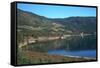 Baltic Coast South of Oslo-CM Dixon-Framed Stretched Canvas